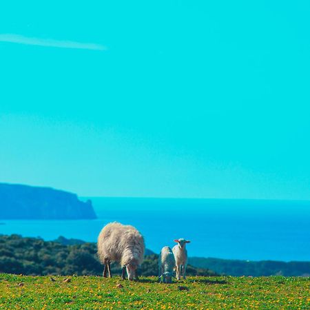 Agriturismo Il Ginepro Fluminimaggiore Eksteriør bilde