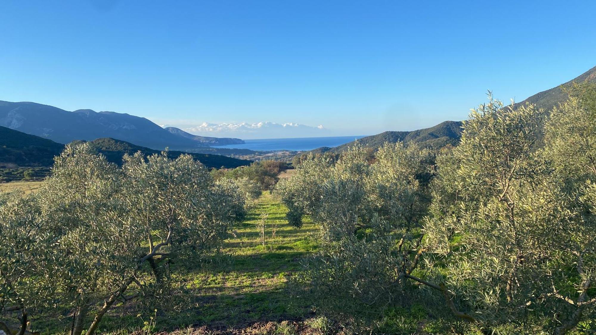 Agriturismo Il Ginepro Fluminimaggiore Eksteriør bilde