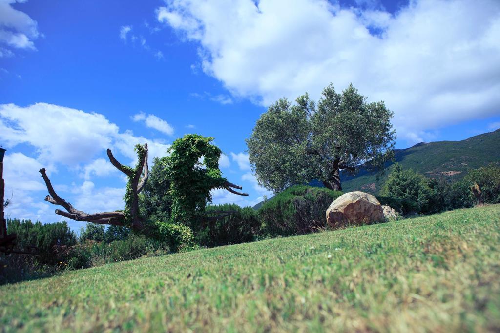 Agriturismo Il Ginepro Fluminimaggiore Eksteriør bilde
