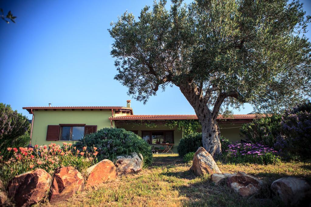 Agriturismo Il Ginepro Fluminimaggiore Eksteriør bilde