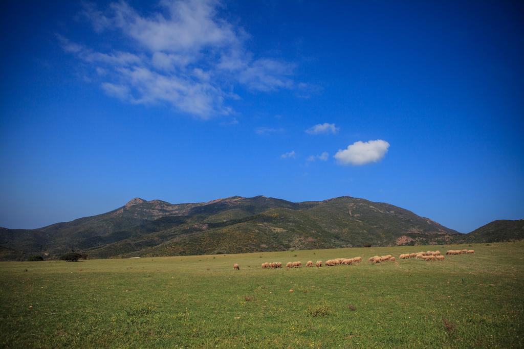 Agriturismo Il Ginepro Fluminimaggiore Eksteriør bilde
