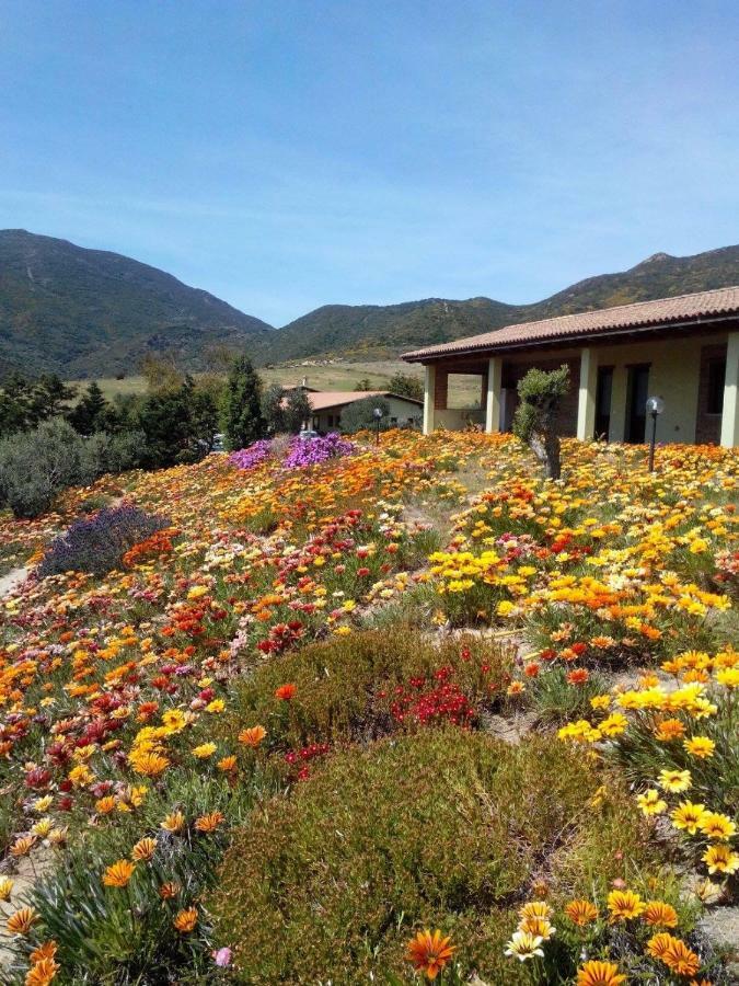 Agriturismo Il Ginepro Fluminimaggiore Eksteriør bilde