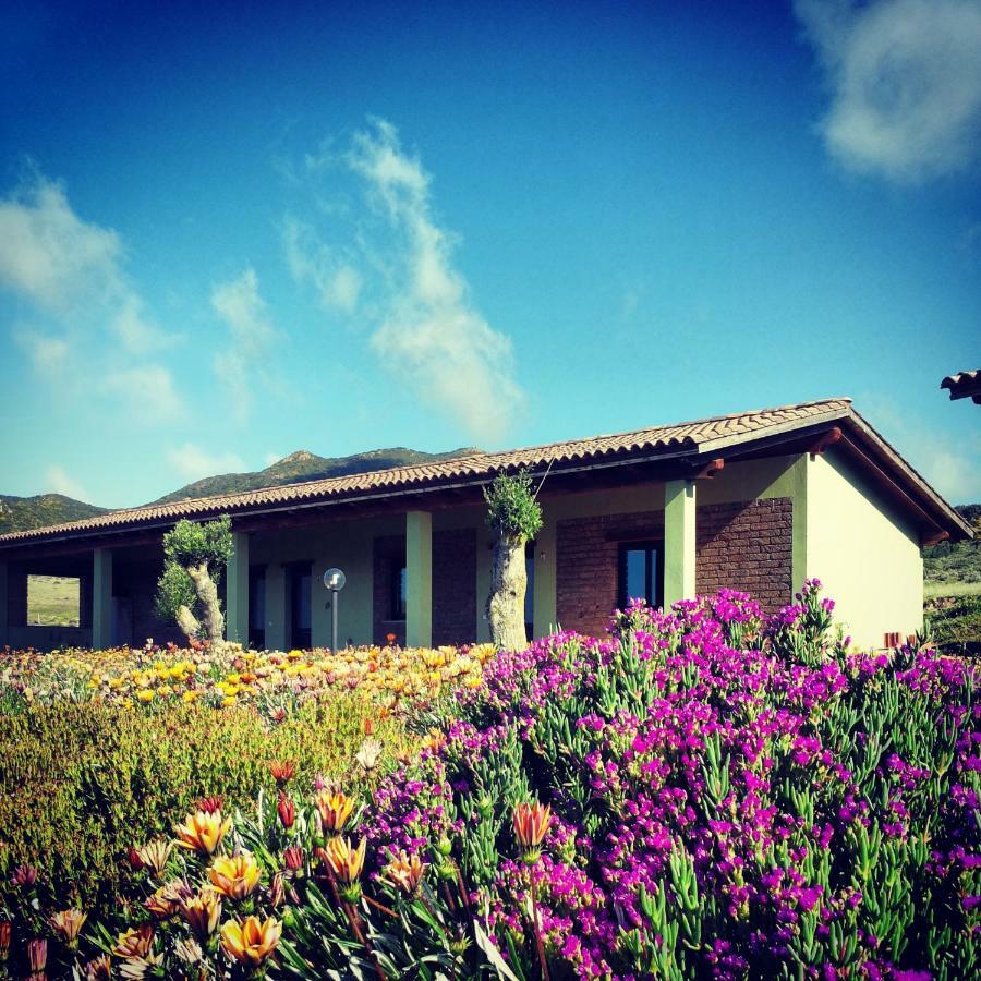 Agriturismo Il Ginepro Fluminimaggiore Eksteriør bilde