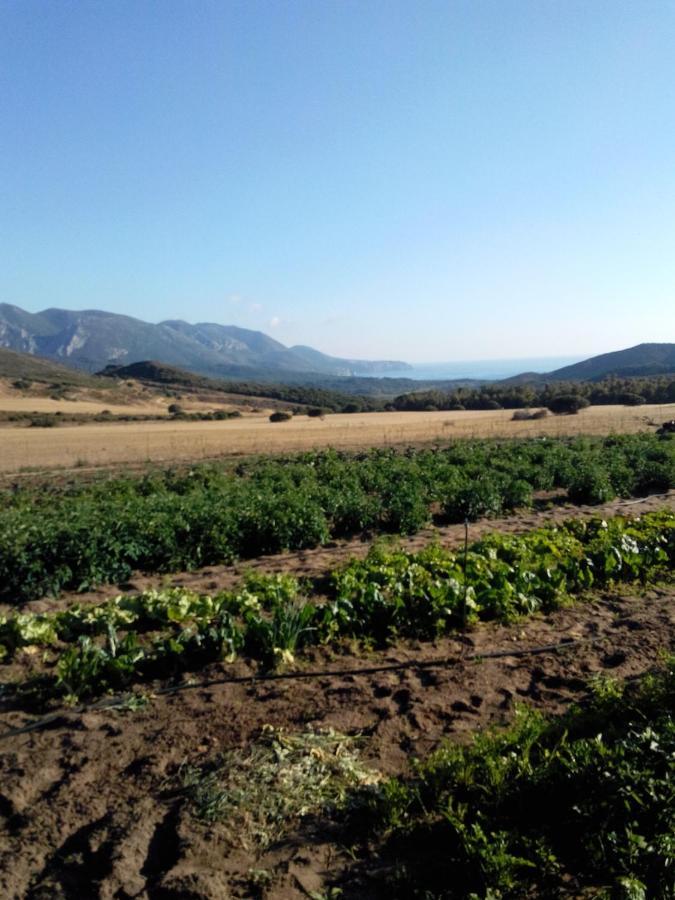 Agriturismo Il Ginepro Fluminimaggiore Eksteriør bilde